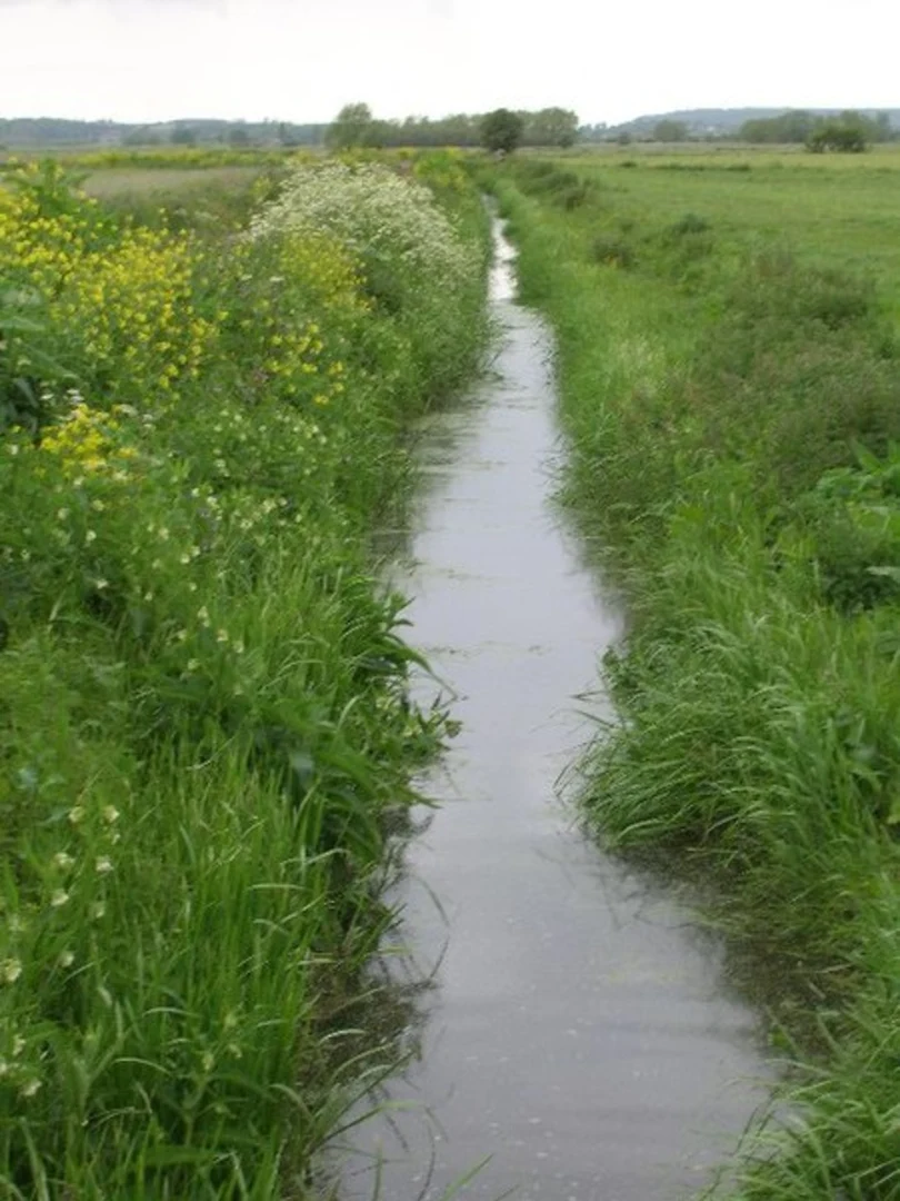 An image depicting the trail River Parrett Trail and Kingsbury Episcopi Loop and its surrounding area.