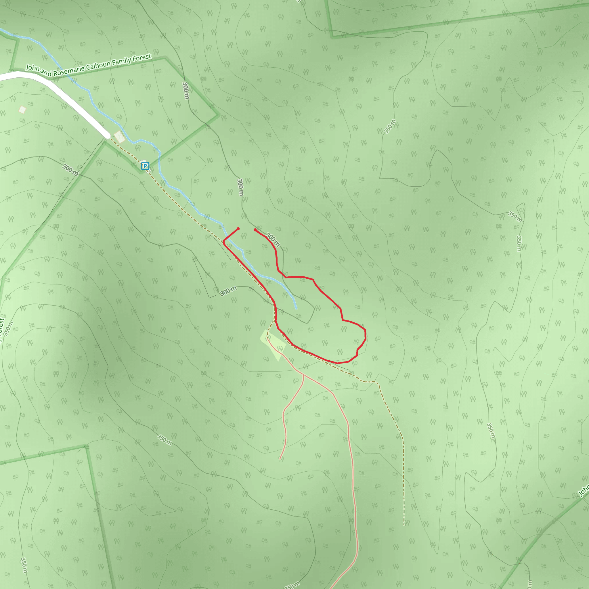 White Brook Road Loop mobile static map