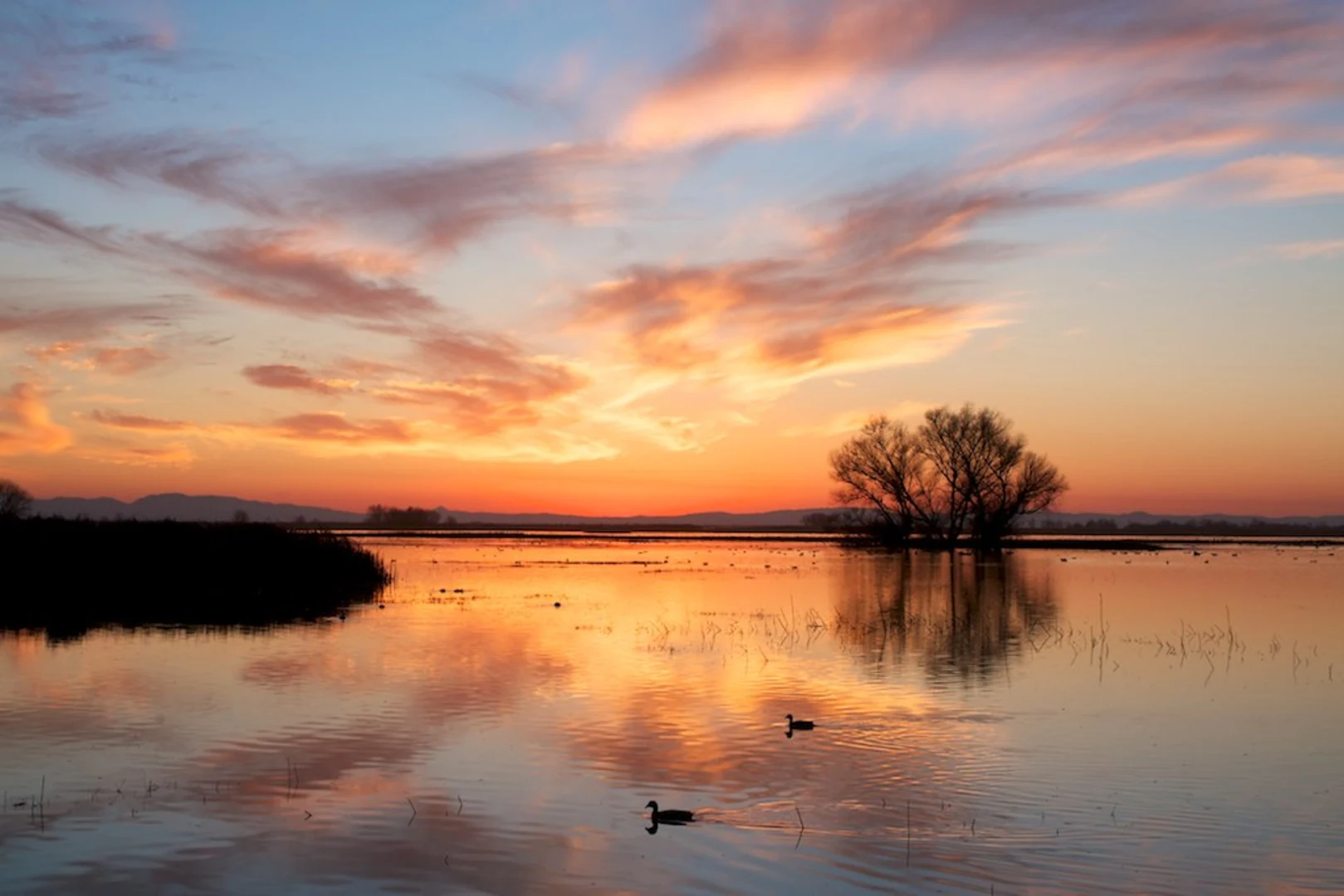 An image depicting the trail Kestrel Trail and its surrounding area.