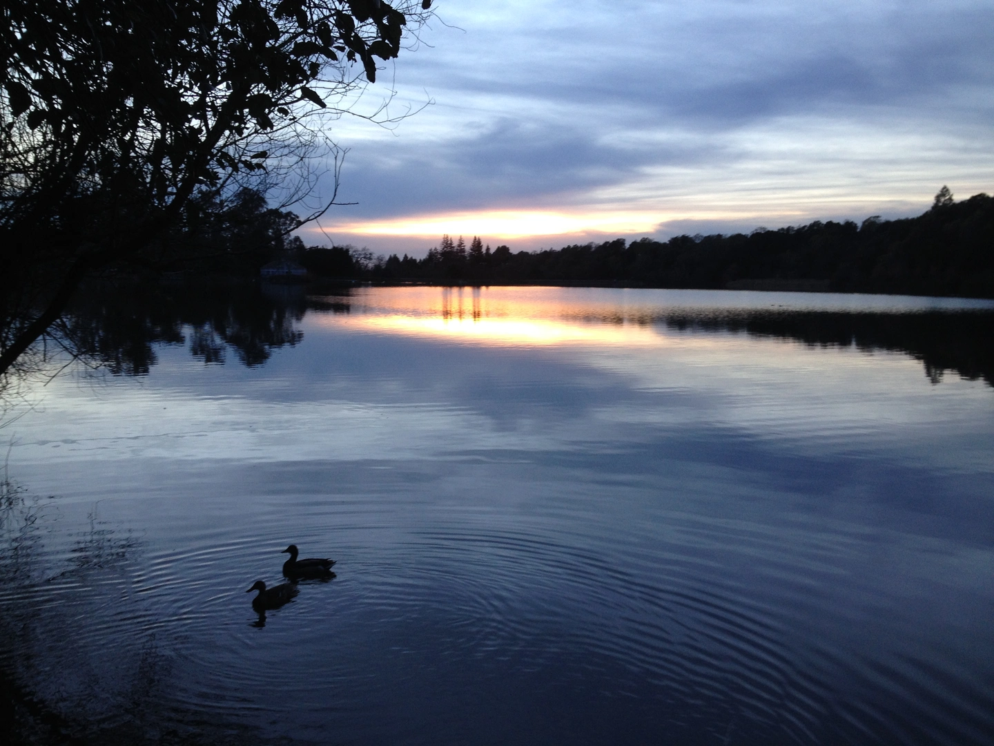 An image depicting the trail Lake Ralphine Loop and its surrounding area.