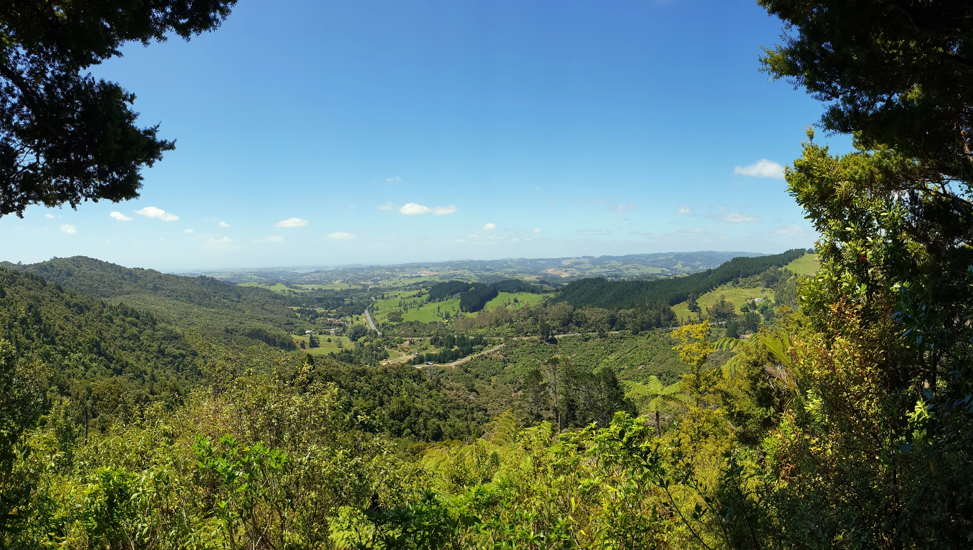An image depicting the trail Dome Forest to Govan Wilson Rd Matakana and its surrounding area.