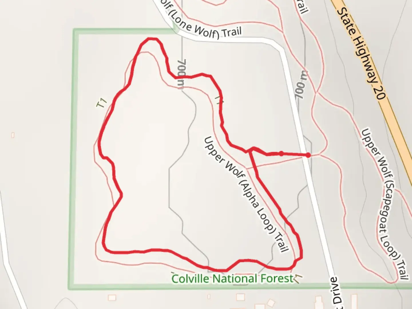 An image depicting the trail Upper Wolf - Alpha Trail and its surrounding area.