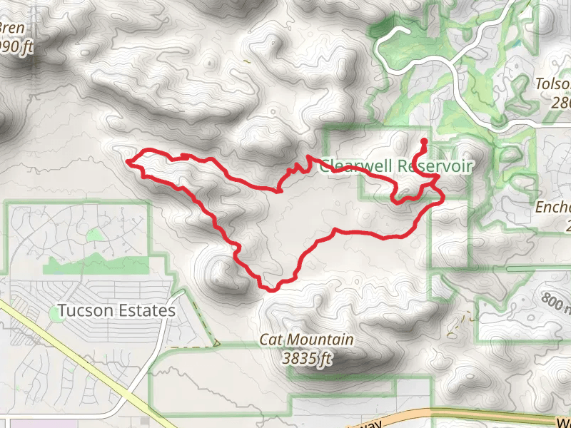 Rock Wren, Yetman and Starr Pass Loop Trail