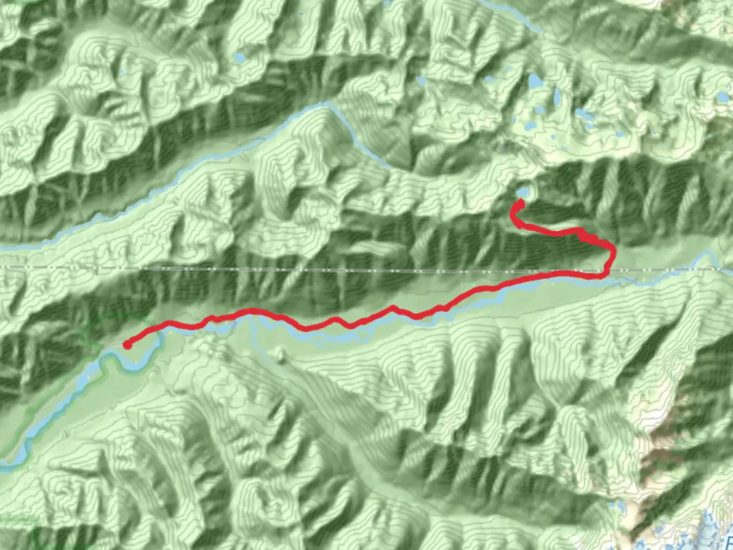 An image depicting the trail Hoh Lake and Hoh River Trail and its surrounding area.