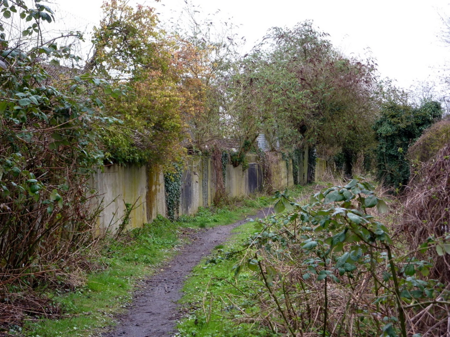 An image depicting the trail Stowmarket Walk and its surrounding area.