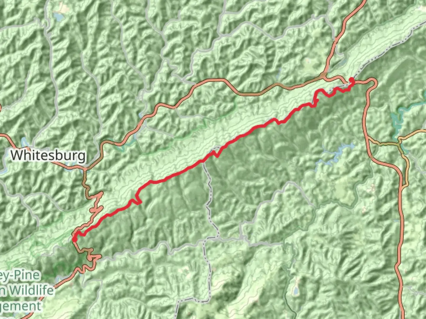An image depicting the trail Pine Mountain Trail from Pound Gap and its surrounding area.