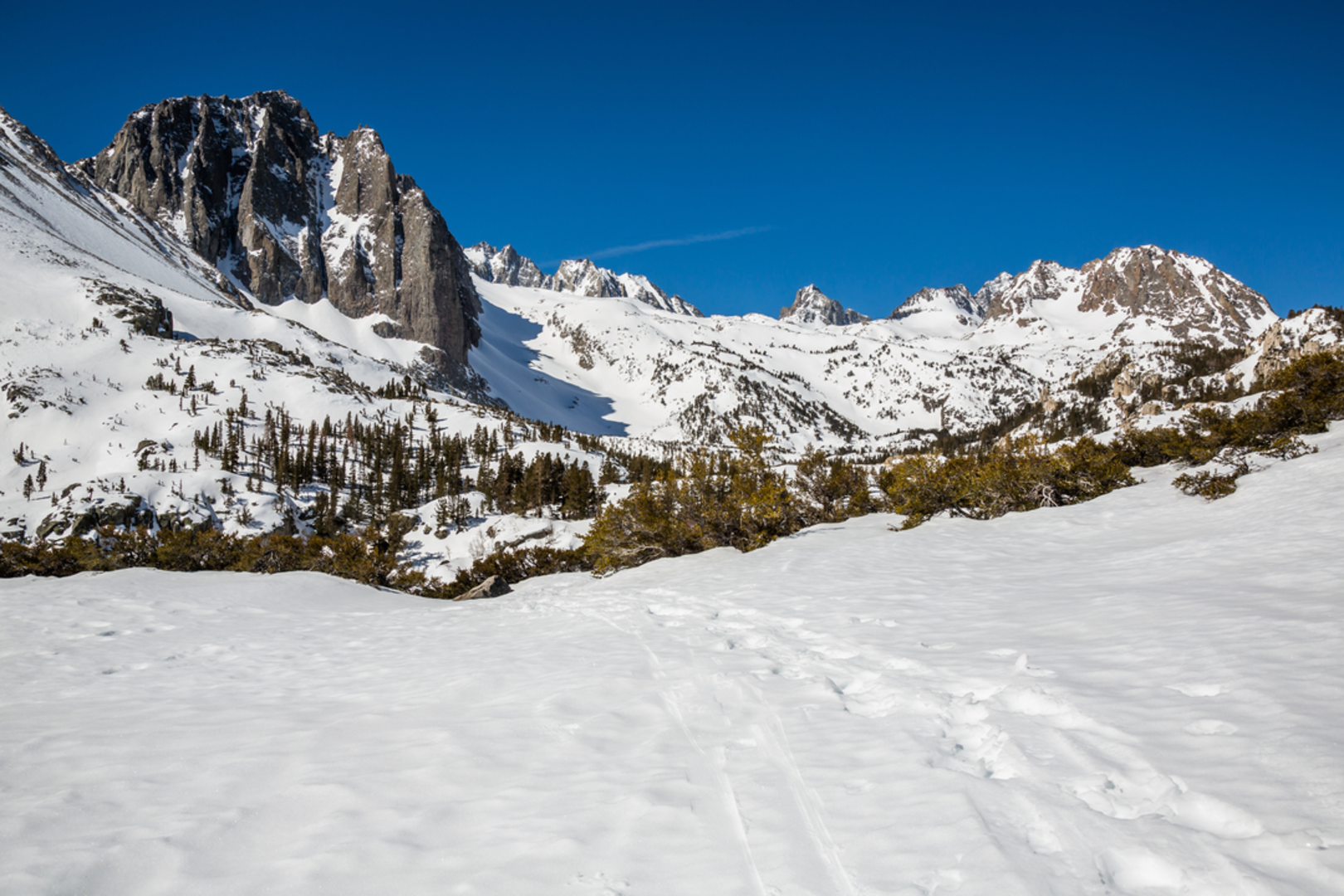 An image depicting the trail North Fork Big Pine Creek Trail and its surrounding area.