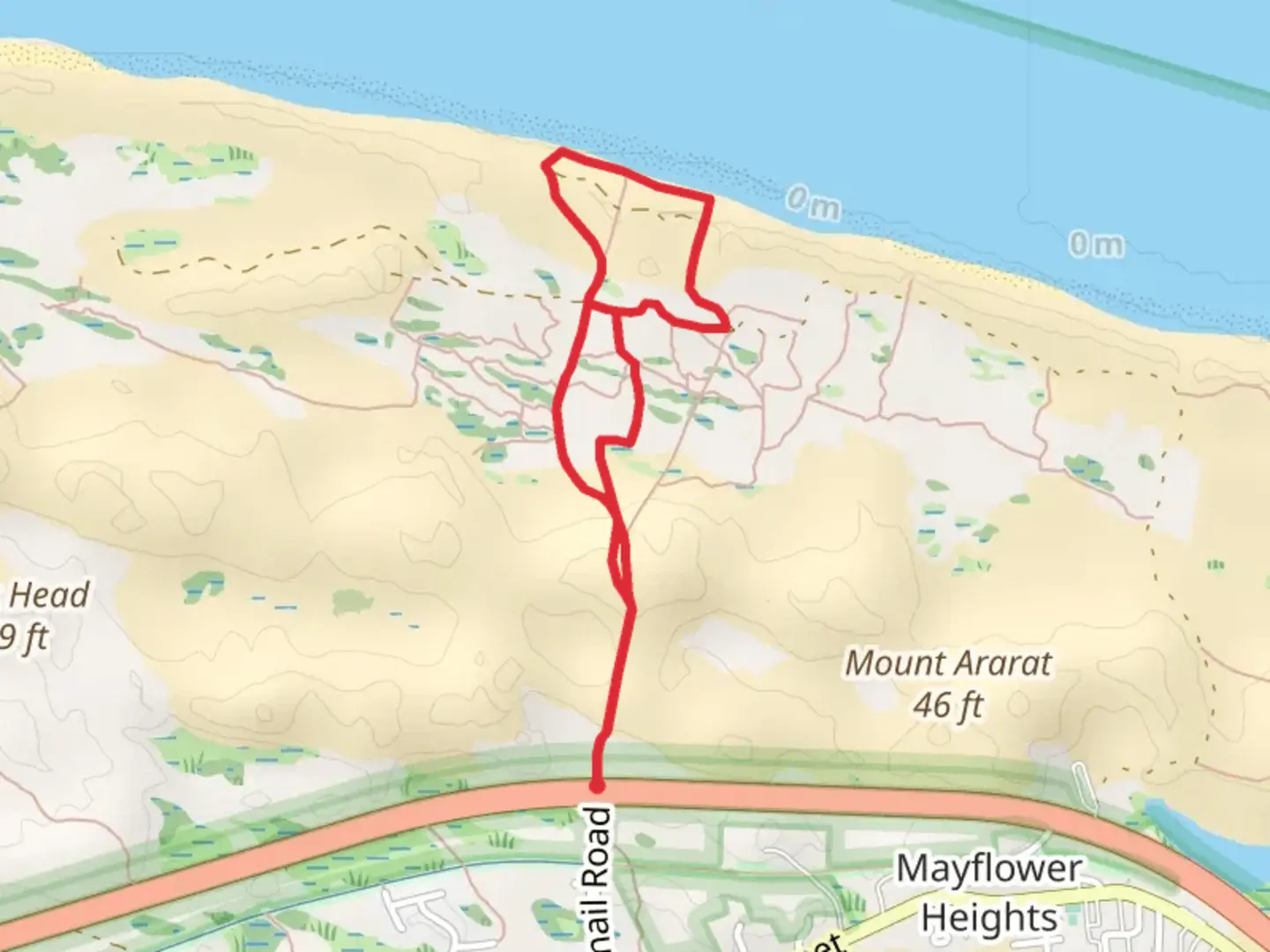 An image depicting the trail Dunes of the Provincelands Loop and its surrounding area.