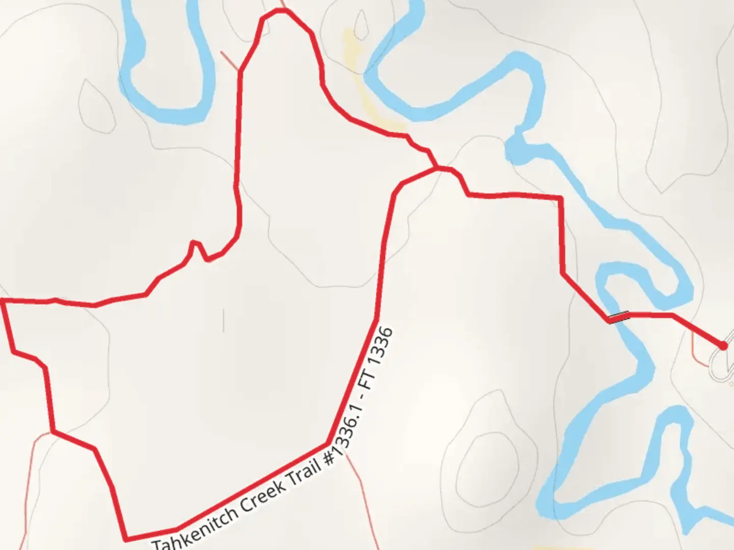 An image depicting the trail Tahkenitch Creek Loop Trail and its surrounding area.