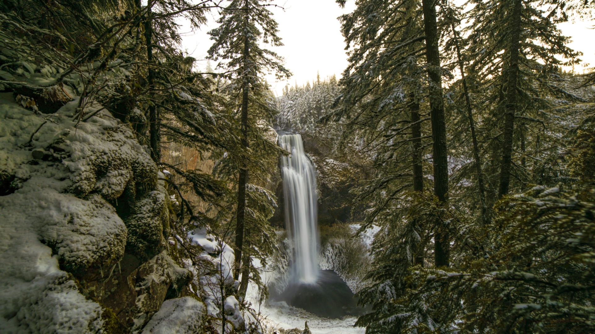 An image depicting the trail Vivian Lake via Diamond Creek Falls Trail and its surrounding area.