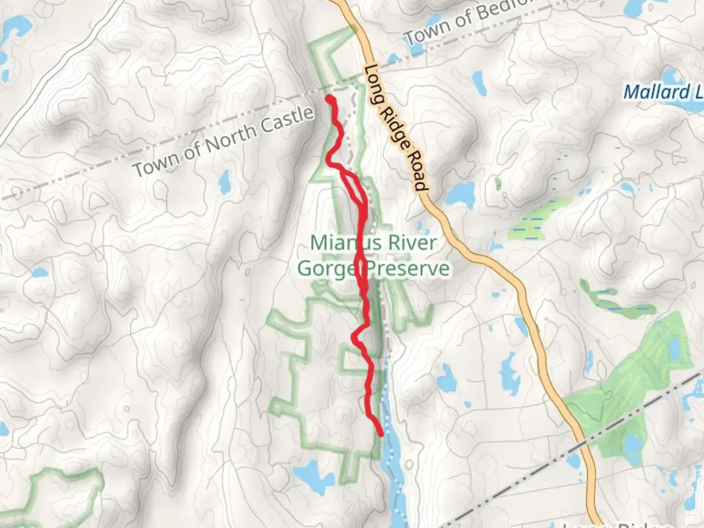 An image depicting the trail Mianus River Gorge Preserve and its surrounding area.