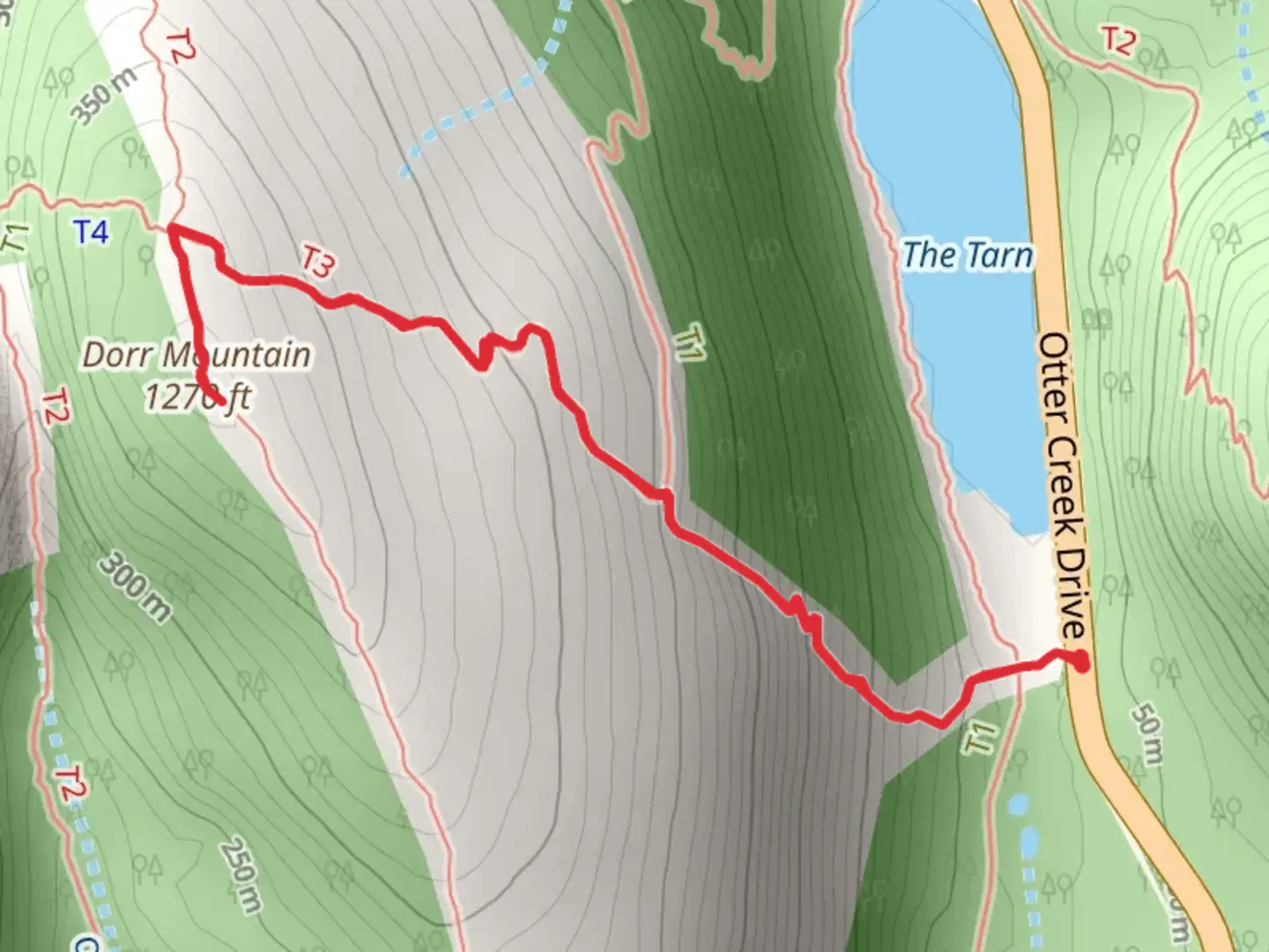 An image depicting the trail Dorr Mountain from The Tarn and its surrounding area.