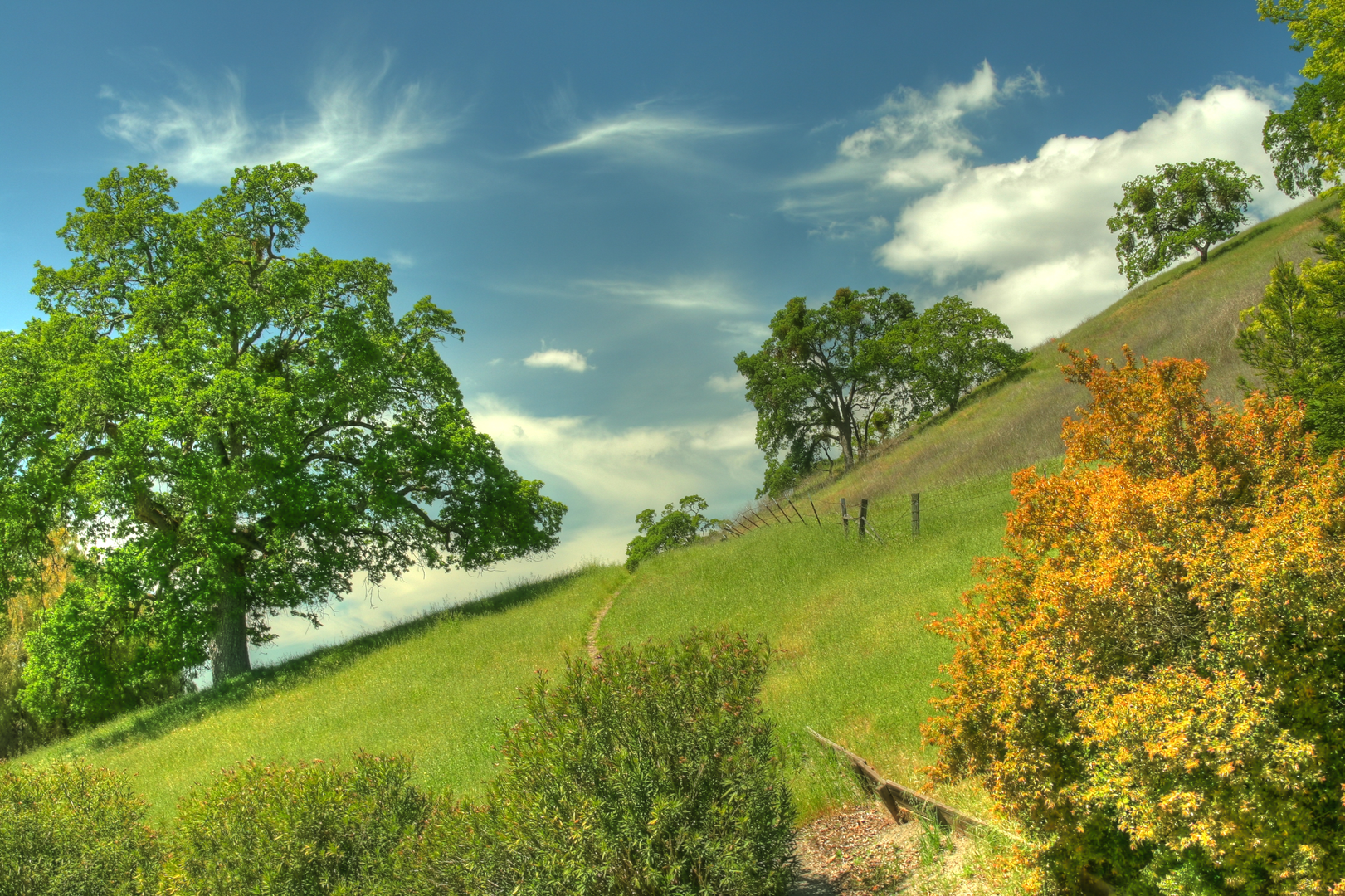 An image depicting the trail Sugarloaf-Shell Ridge Loop Trail and its surrounding area.