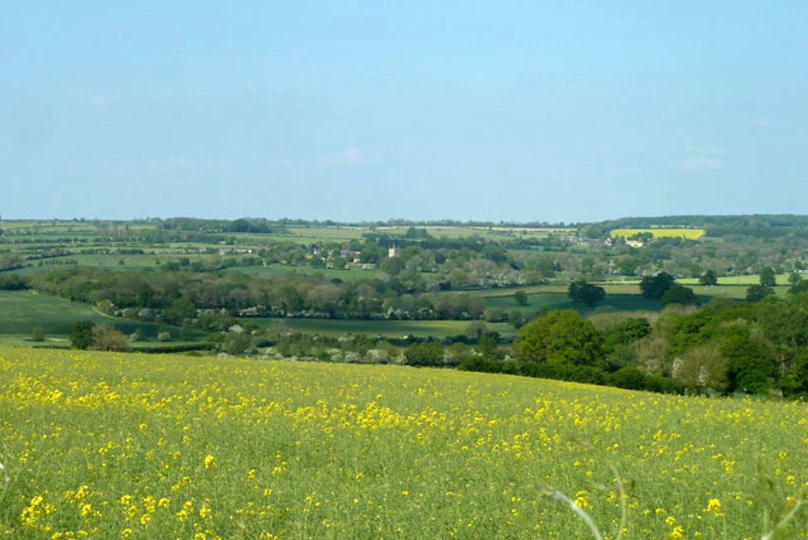 An image depicting the trail Spelsbury and Dean Common and its surrounding area.
