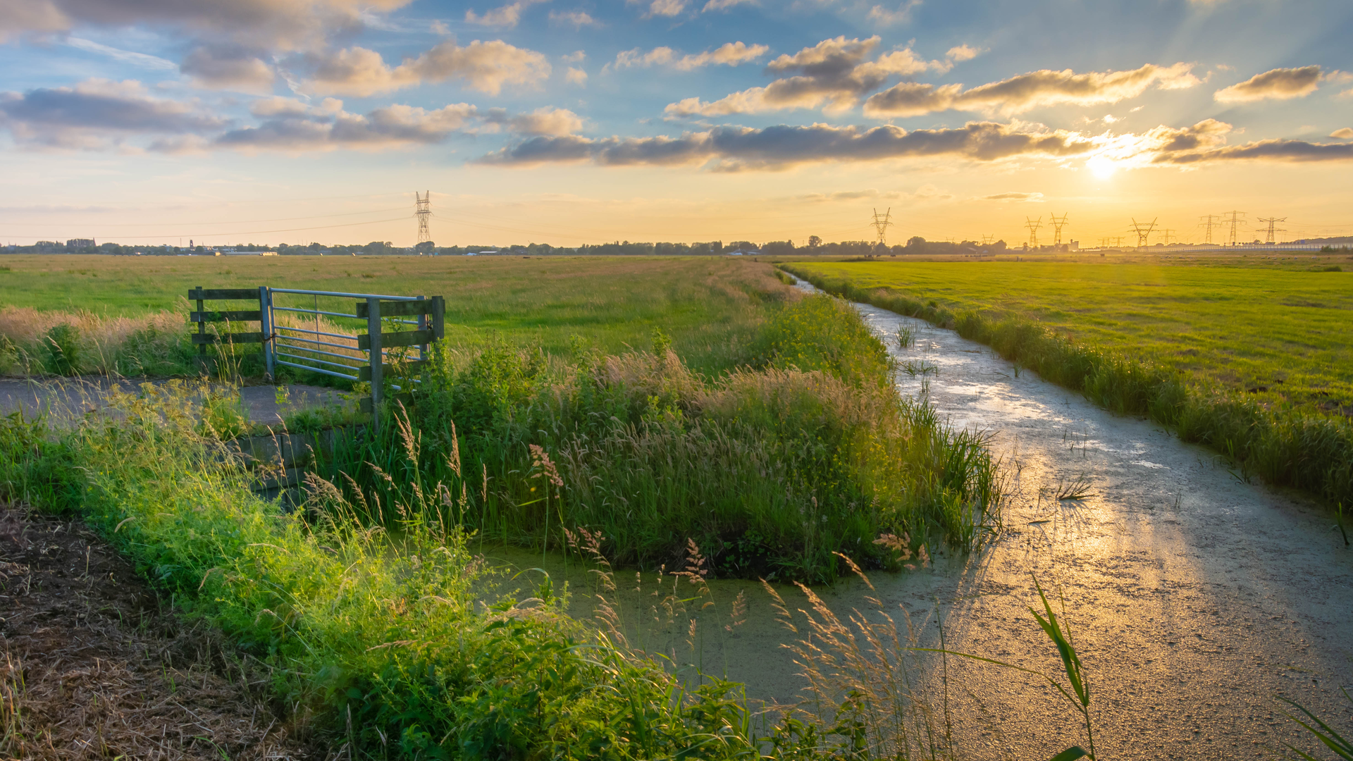 An image depicting the trail Vecht and Reaalspolderweg Loop and its surrounding area.