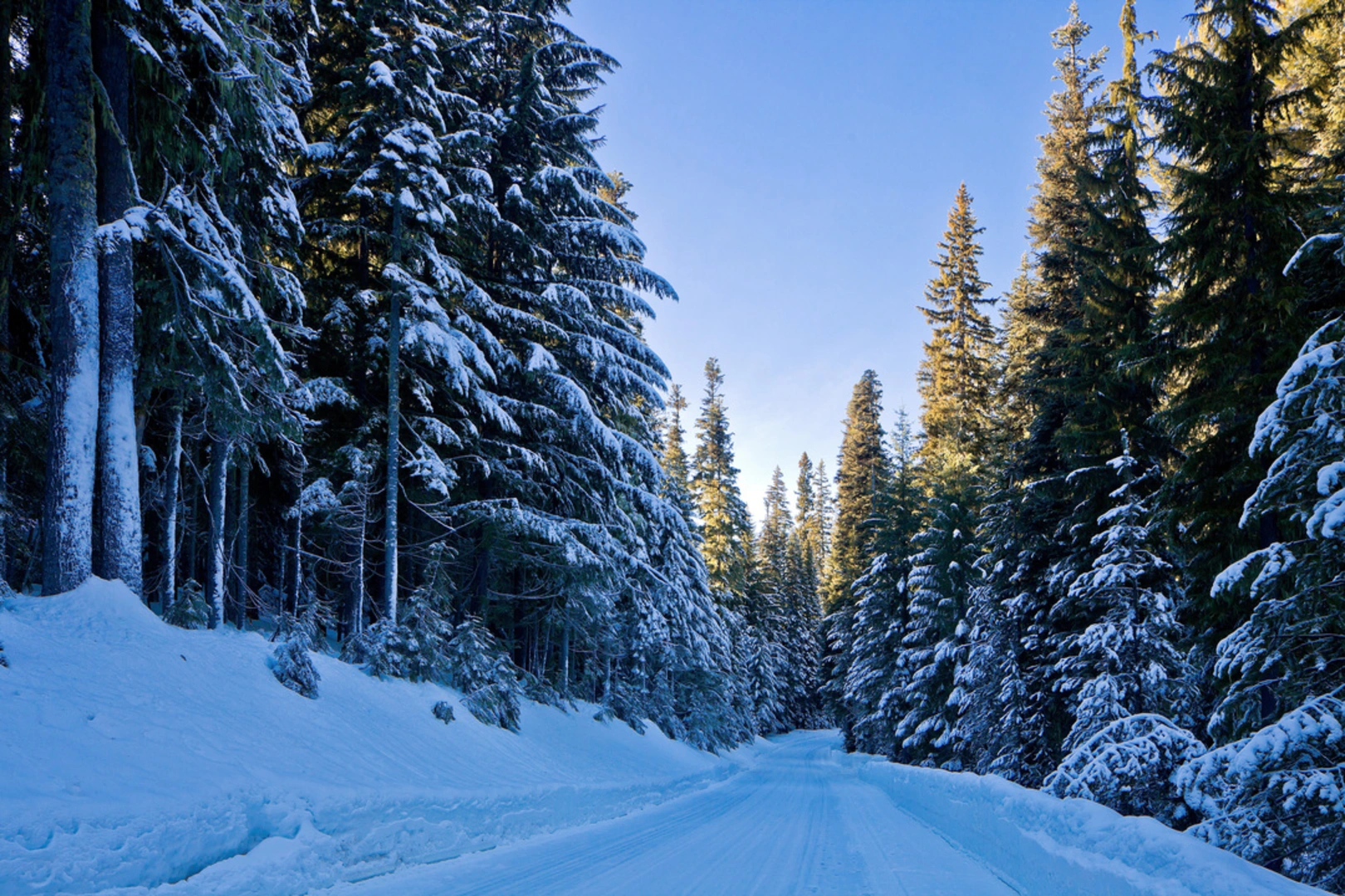 An image depicting the trail Crater Butte Trail via Rockpile Trail and its surrounding area.
