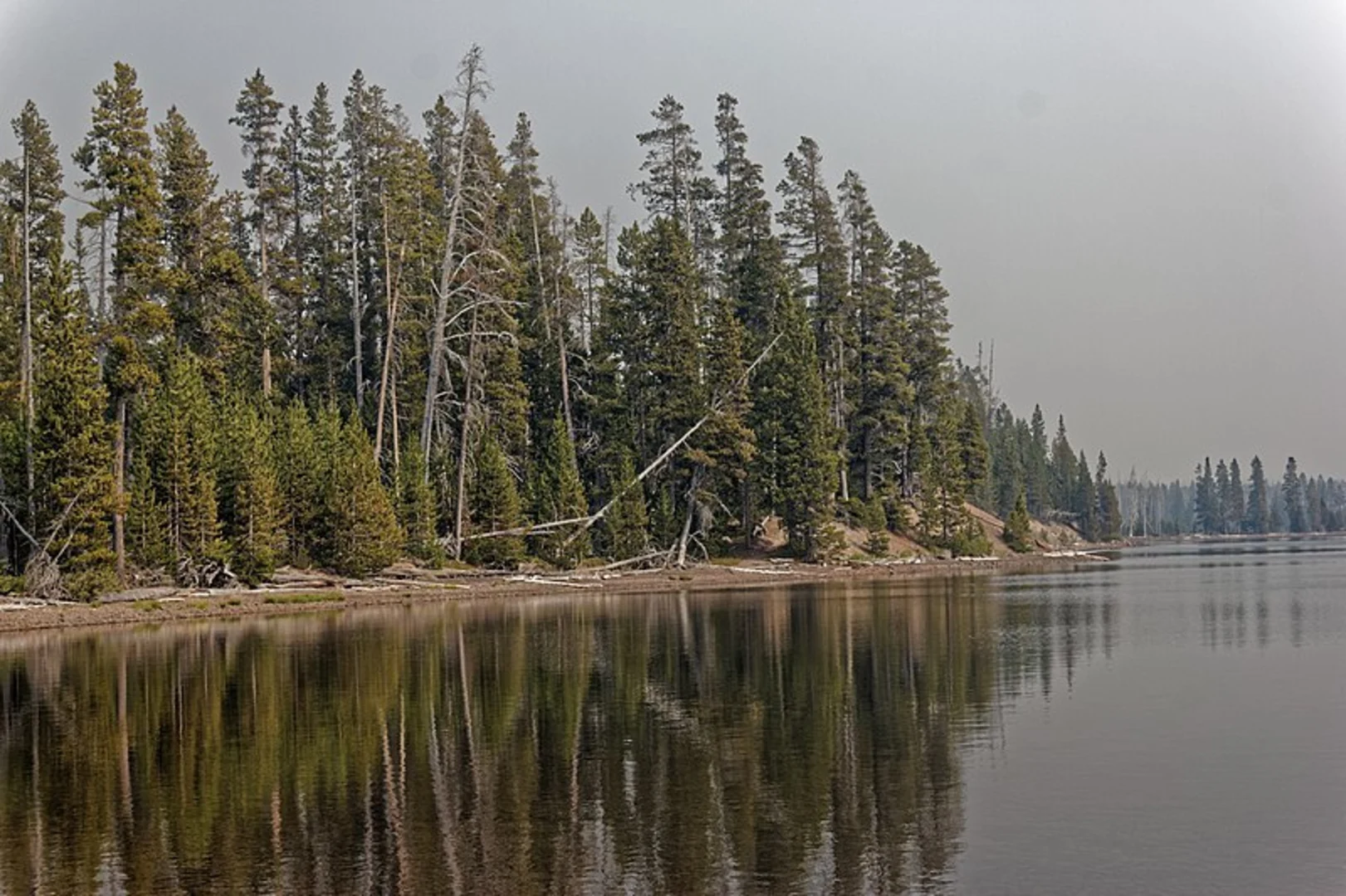 An image depicting the trail Riddle Lake Trail and its surrounding area.