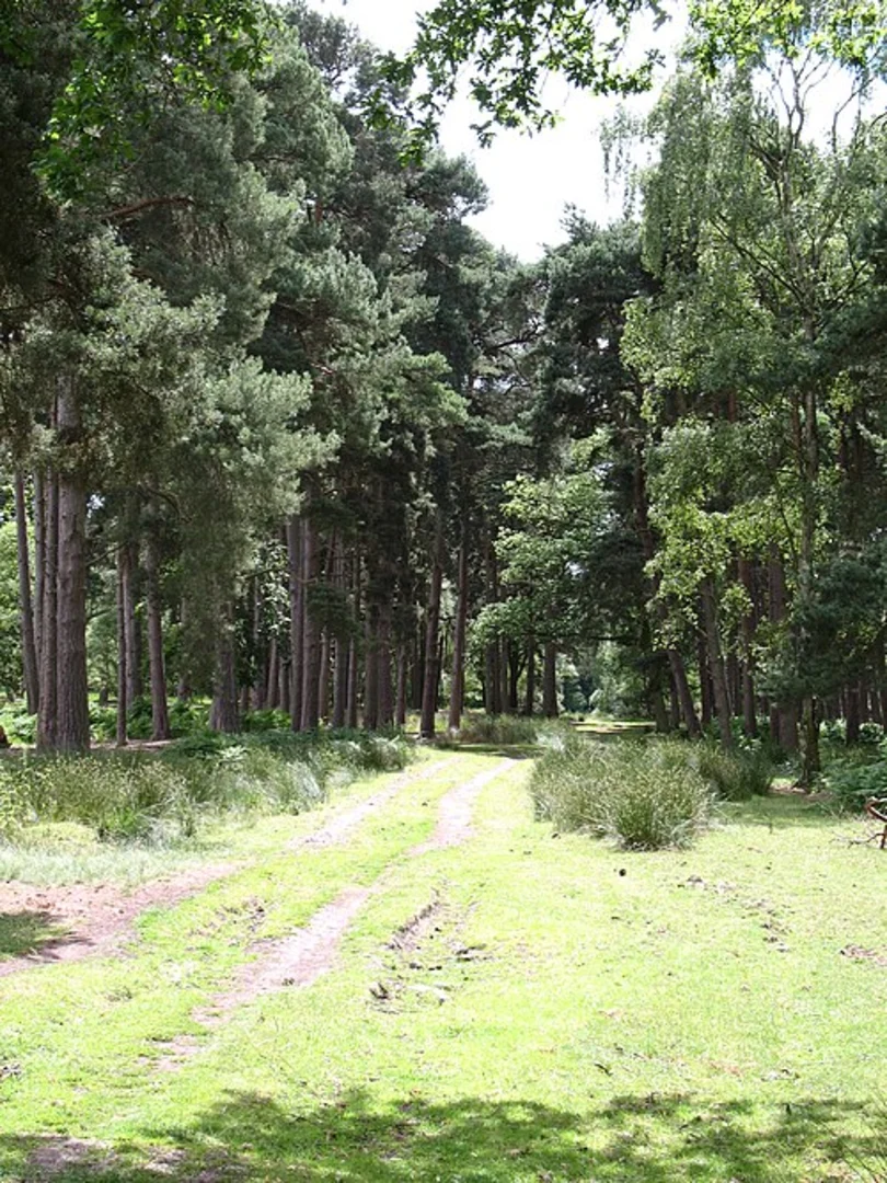 An image depicting the trail Strensall Training Area Loop and its surrounding area.