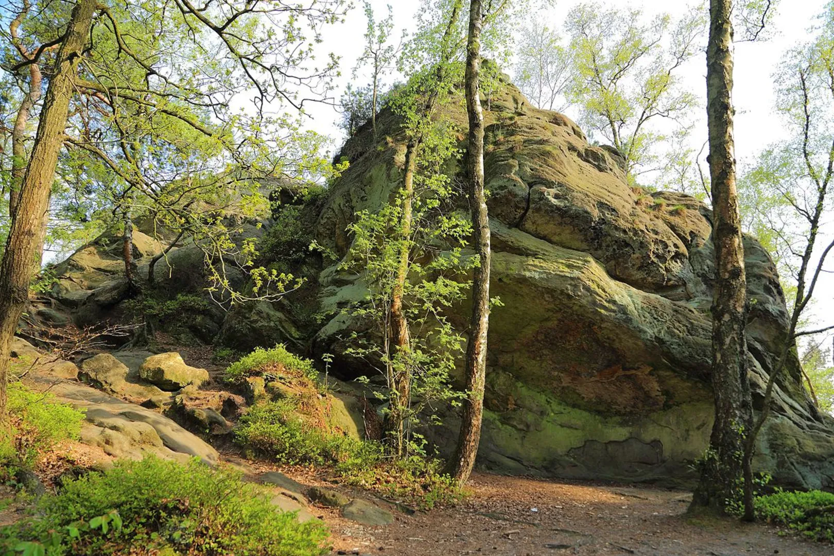 An image depicting the trail Sommerrodelbahn and NSG Dörenther Klippen Loop and its surrounding area.
