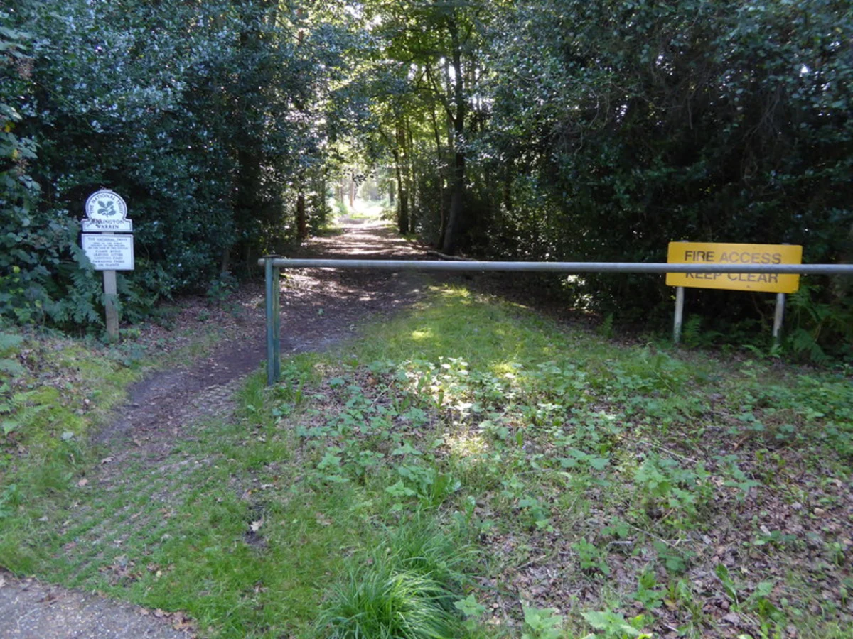 Sullington Warren Loop