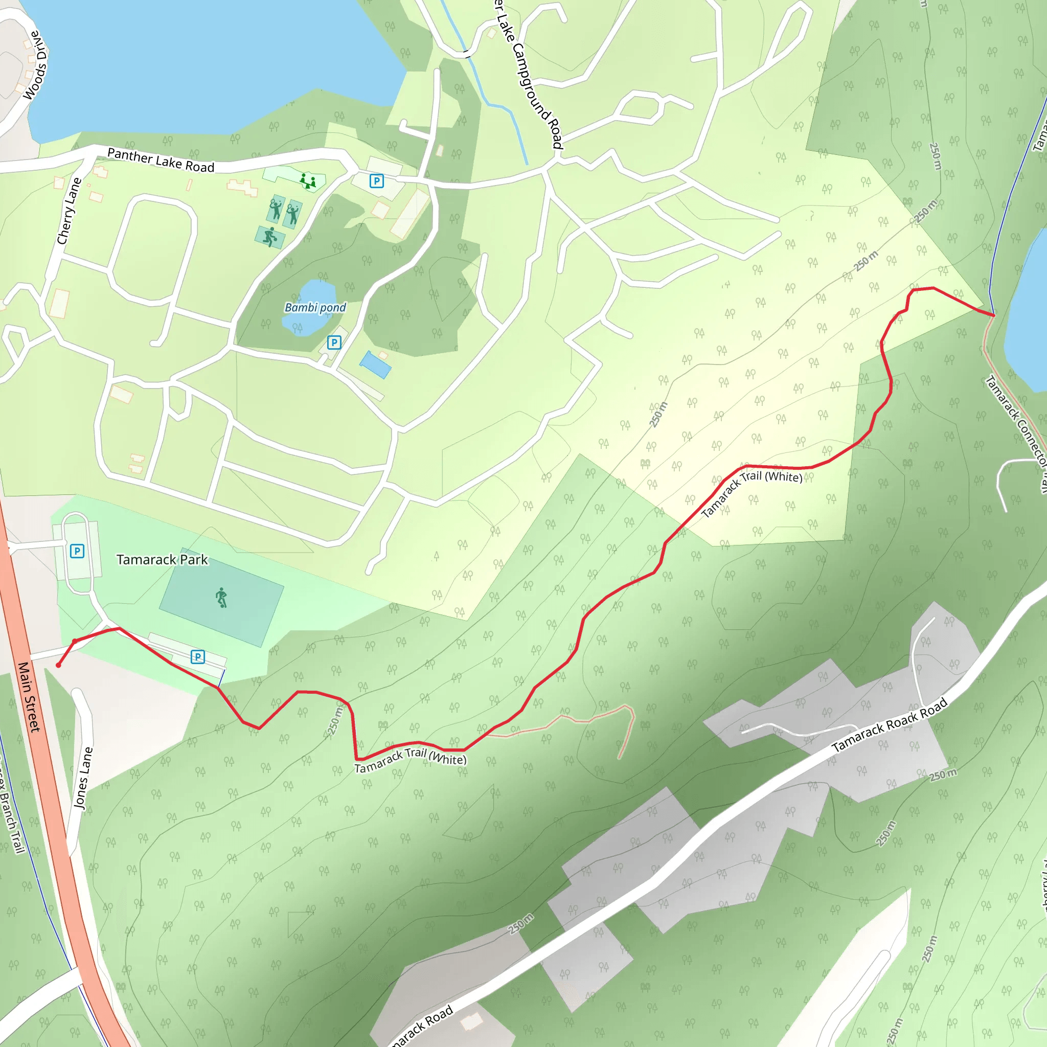 Johnson Lake via Tamarack Trail - White mobile static map