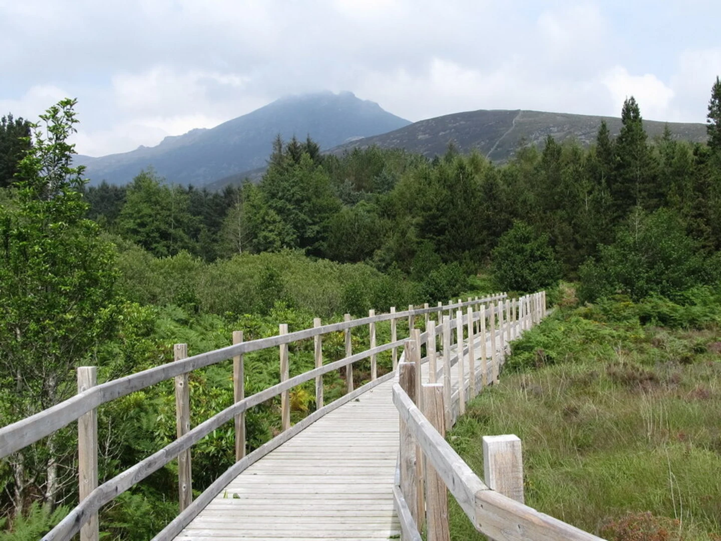 An image depicting the trail Silent Valley Challenge Trail and its surrounding area.