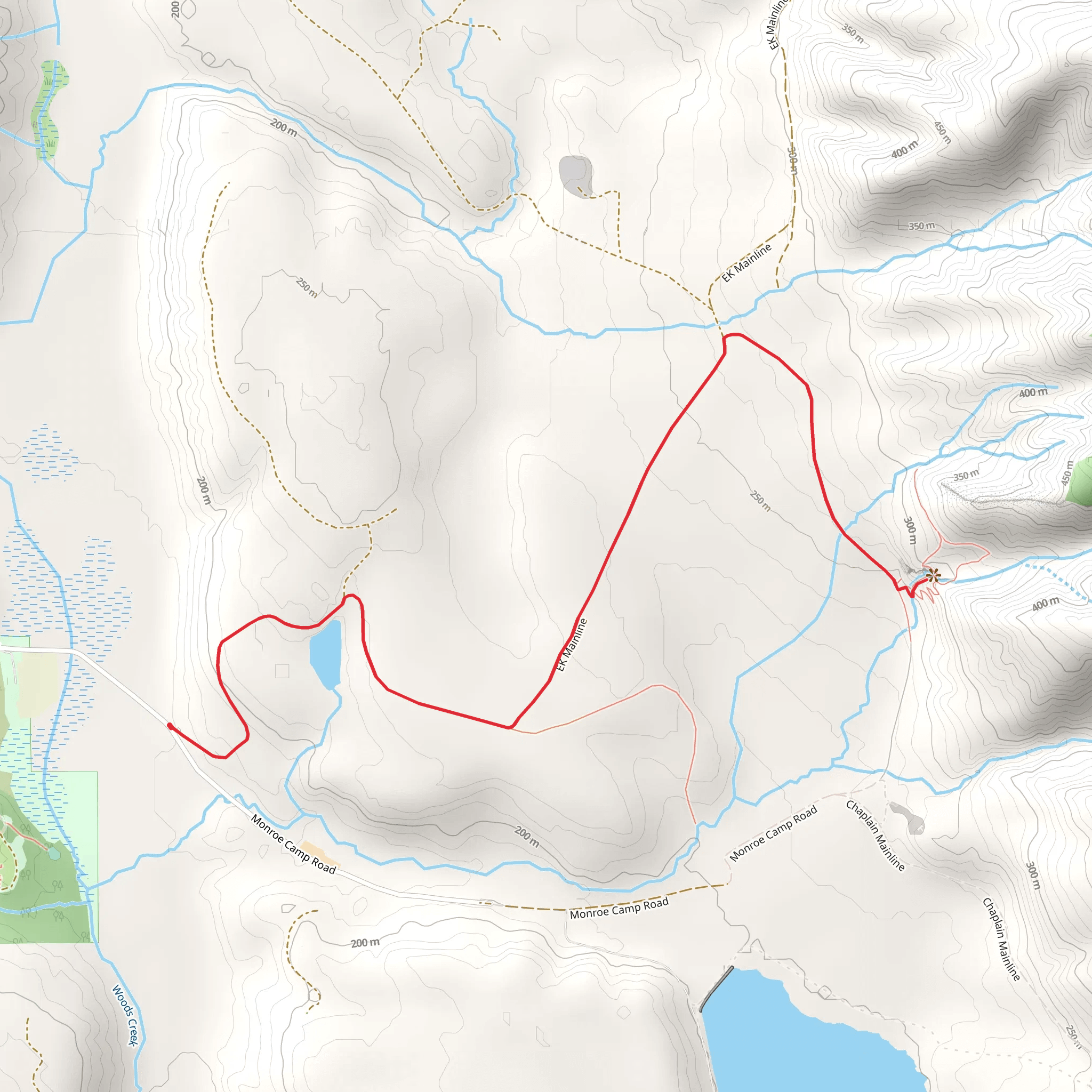 Monroe Camp Road mobile static map