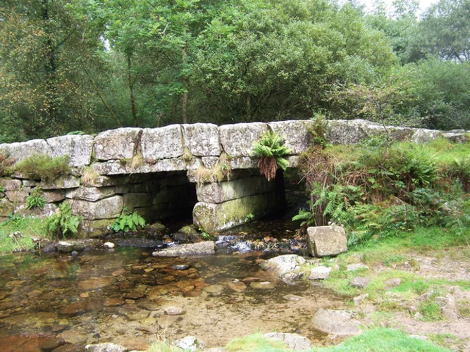 Burrator Reservoir and Norsworthy Plantation Loop