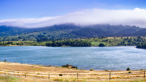An image depicting the trail Upper Crystal Springs Reservoir East Shore and its surrounding area.