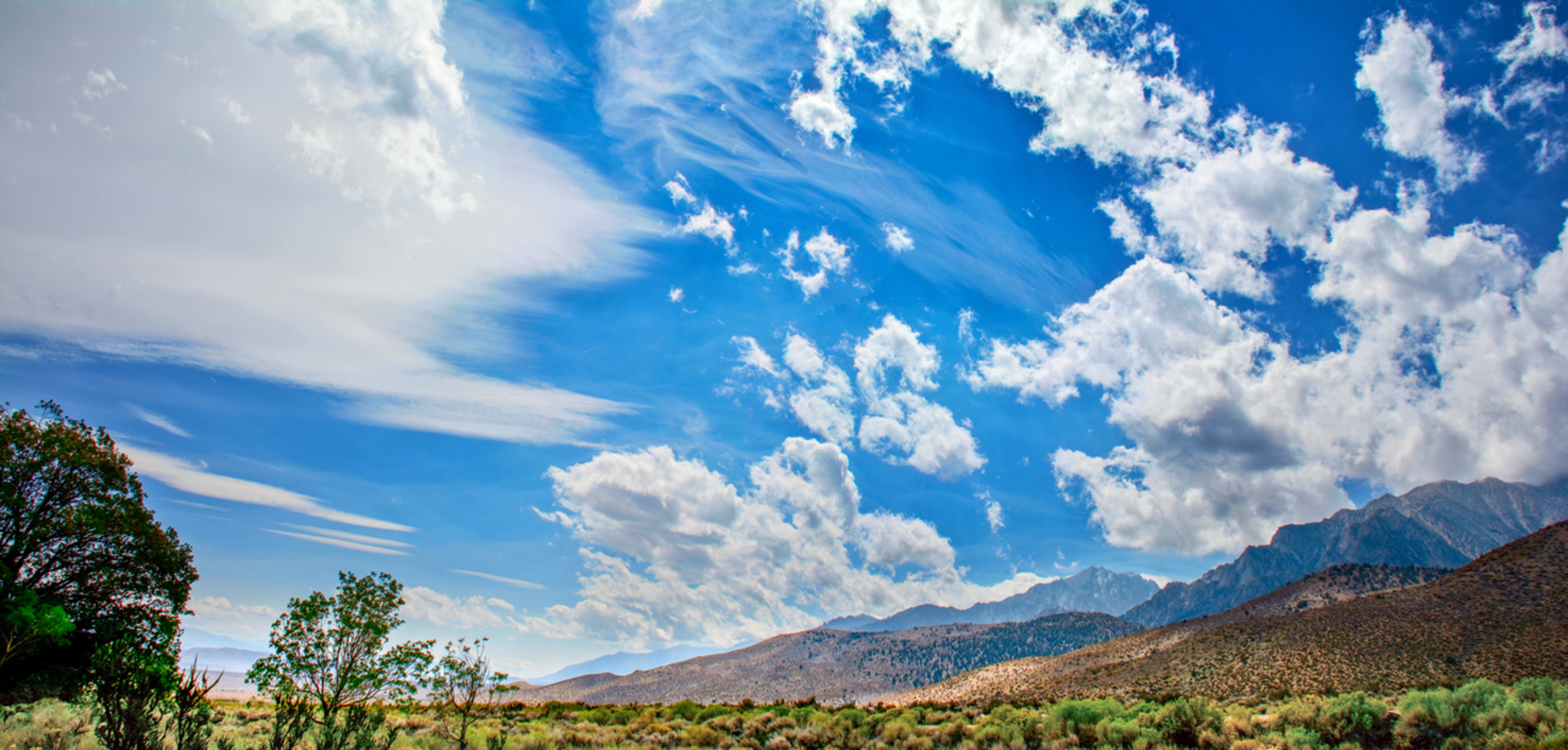 An image depicting the trail Gray's Meadow Fisherman Trail and its surrounding area.