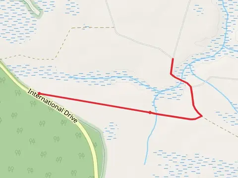 Walk beside Cane Bay