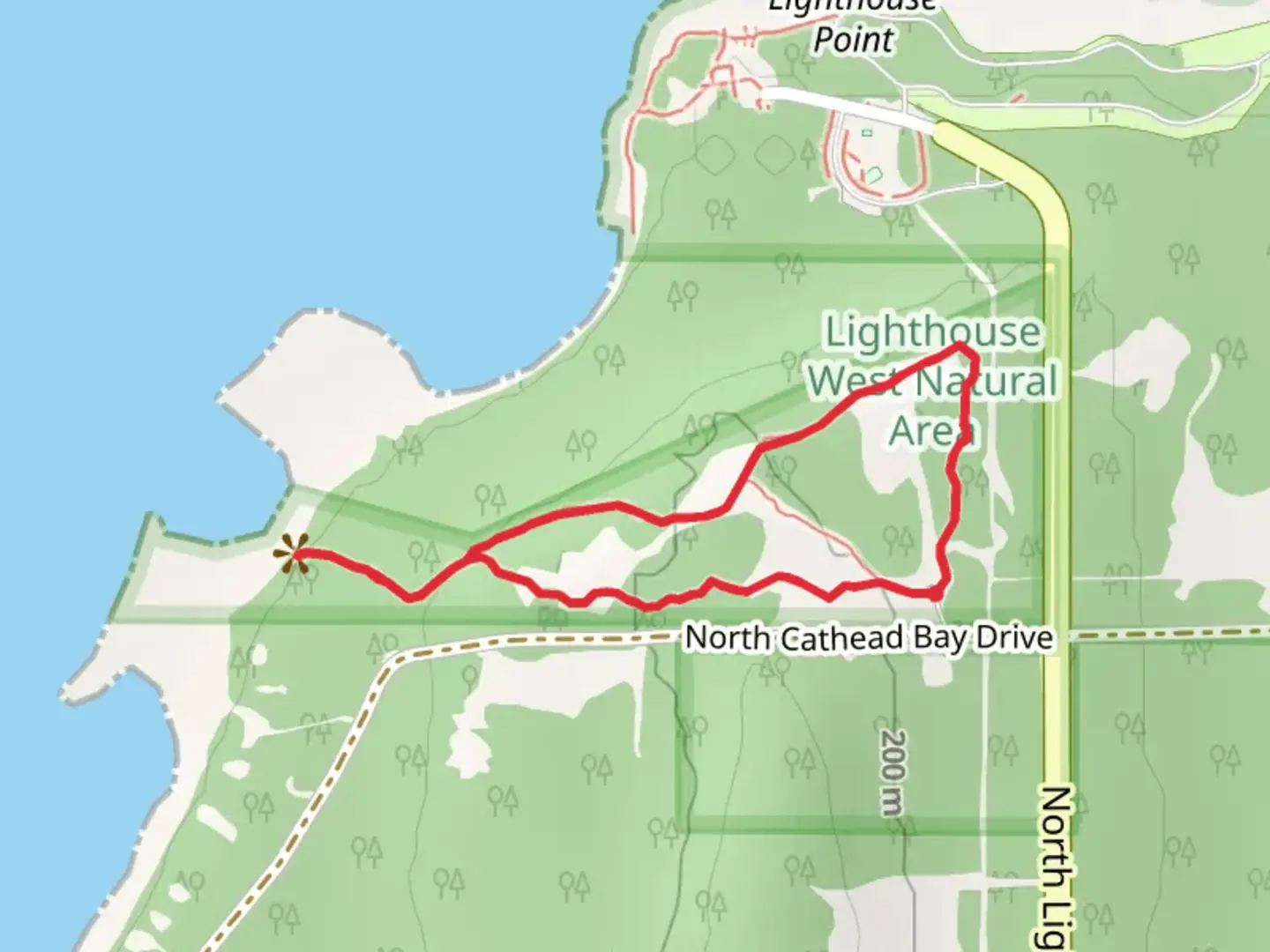 An image depicting the trail Birding Loop and its surrounding area.