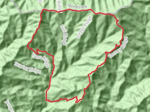 Andrew Bald, Buckhorn Bald and Jenkins Knob via Appalachian Trail