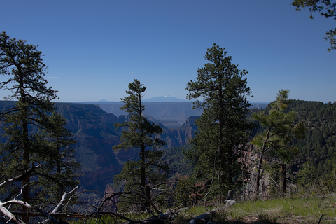 An image depicting the trail Ken Patrick Trail and its surrounding area.