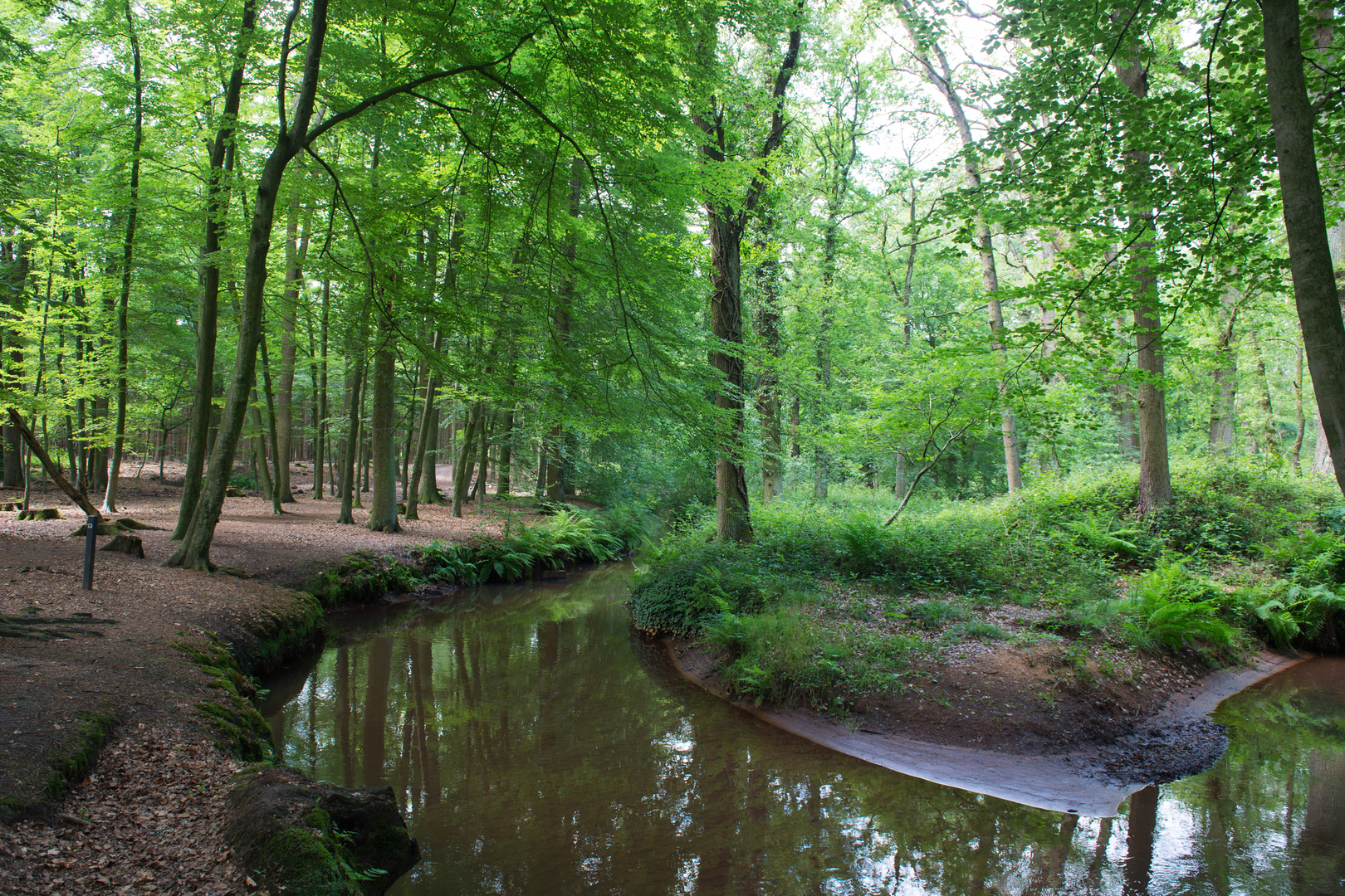 An image depicting the trail Kasteel Geijsteren and Holtmeulen Loop and its surrounding area.