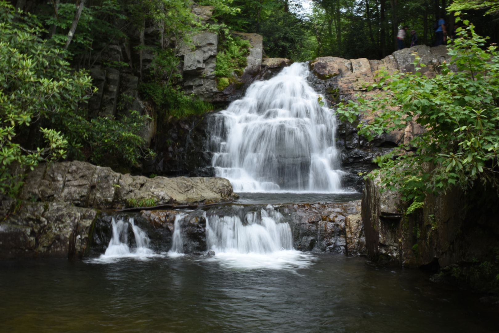 An image depicting the trail Hawk Falls Out and Back and its surrounding area.