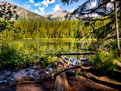 An image depicting the trail Johns Lake Trail and its surrounding area.