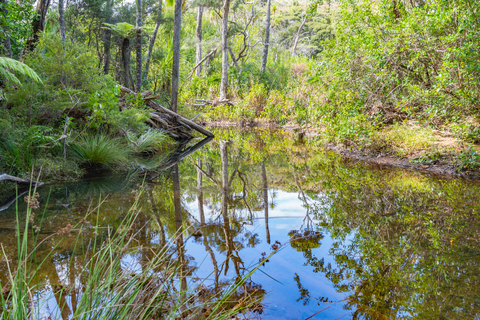 Kaitoke Hotpools Track