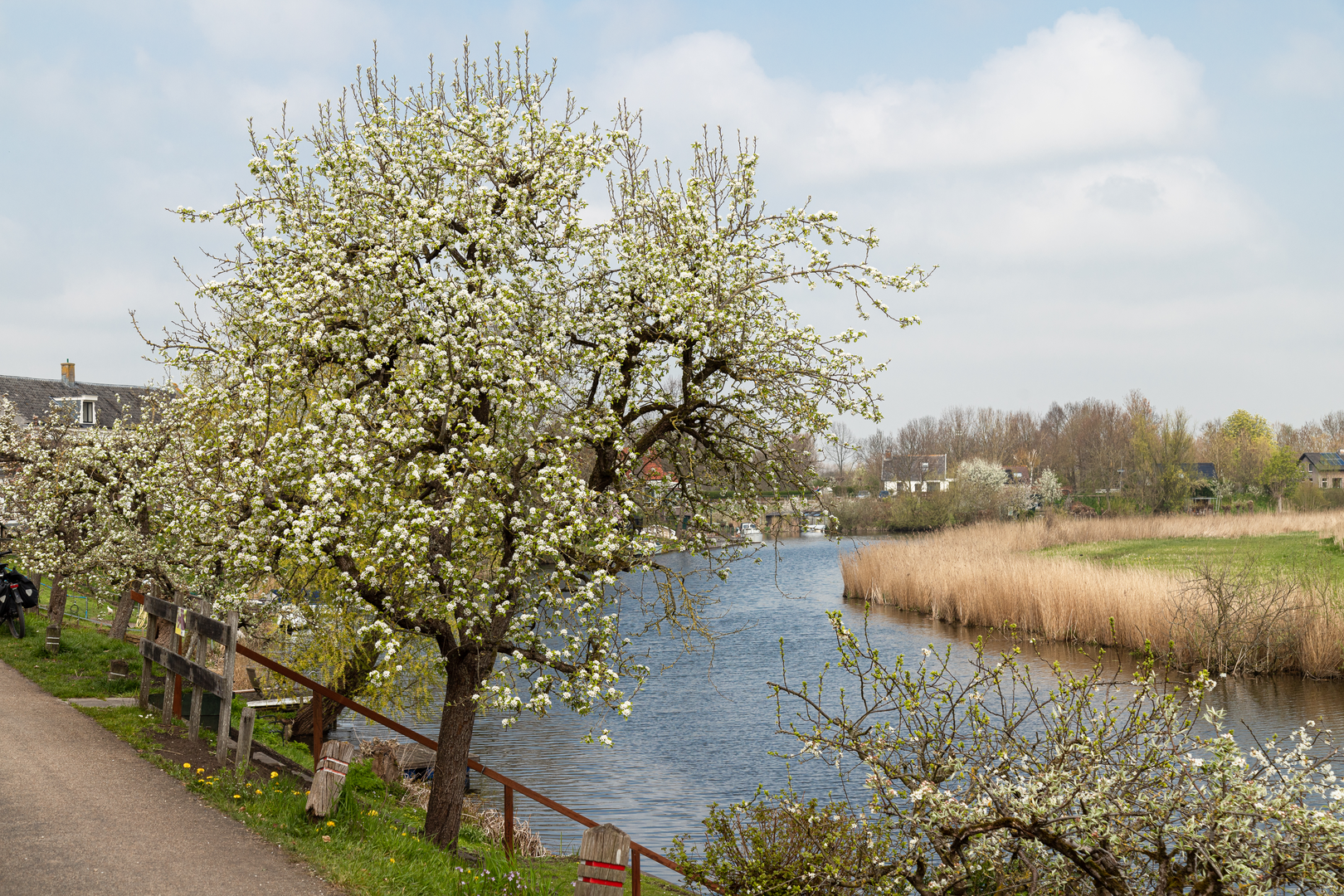 An image depicting the trail Heersdijkbrug and Lingedijk Loop and its surrounding area.