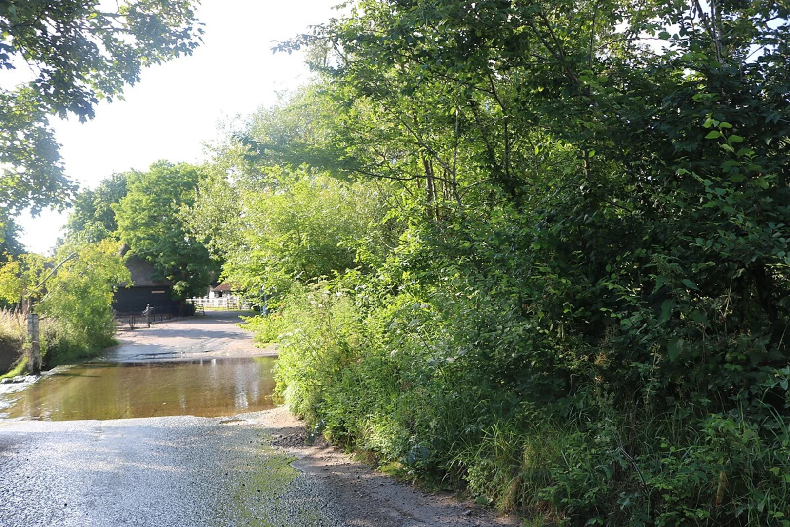 An image depicting the trail Thundridge and Barwick Ford Loop and its surrounding area.