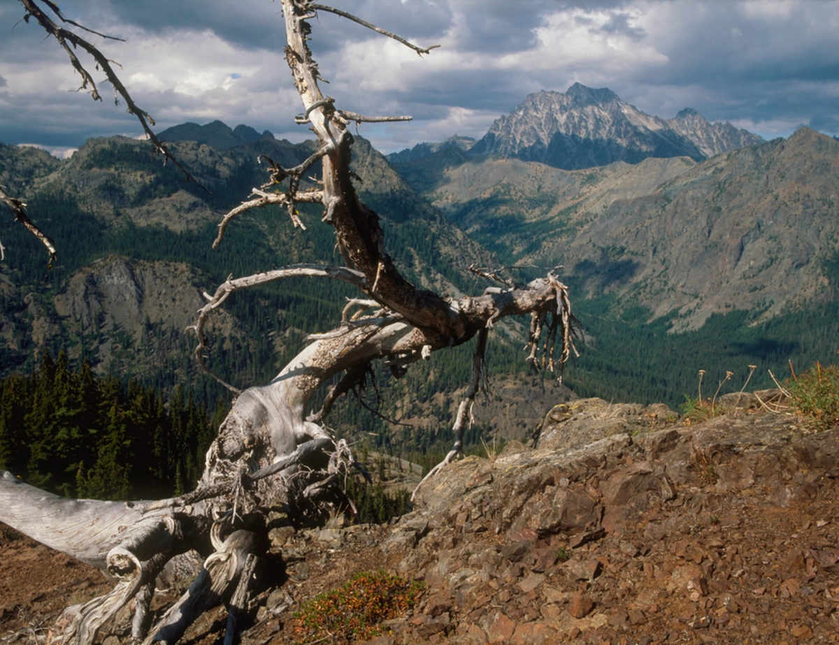 North Fork Teanaway Trail