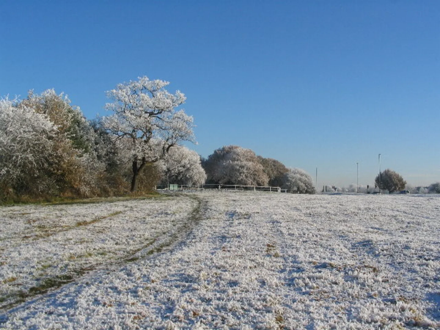 An image depicting the trail Hearsall Common and its surrounding area.