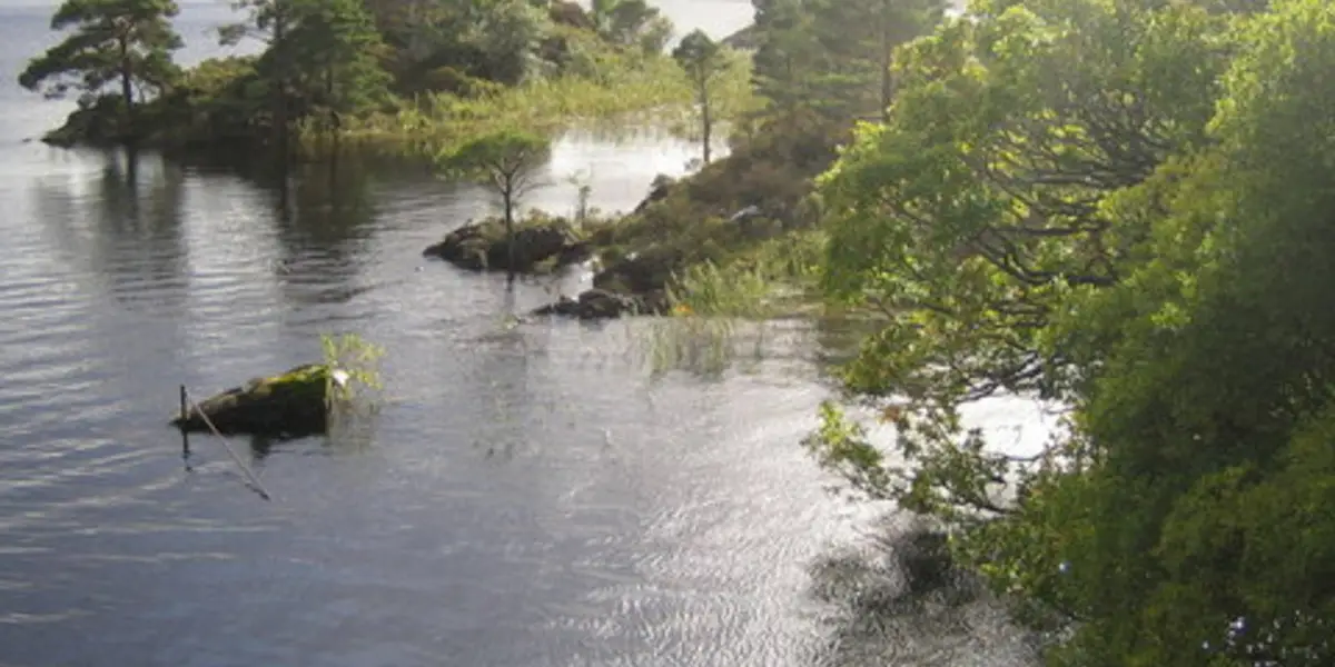 Muckross Lake Loop
