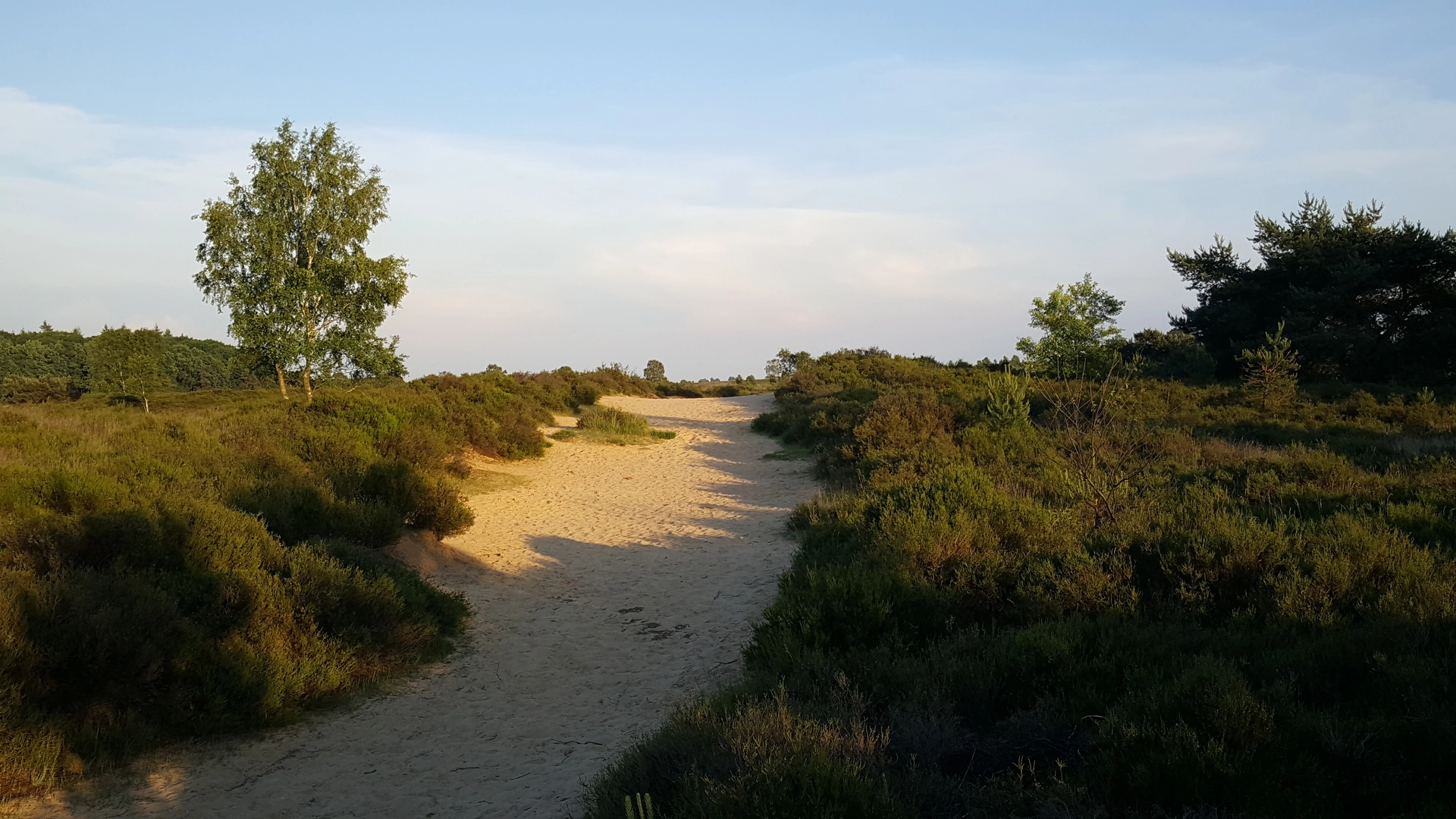 An image depicting the trail Landgoed Kernhem and Doesburger via Pete Weg and its surrounding area.