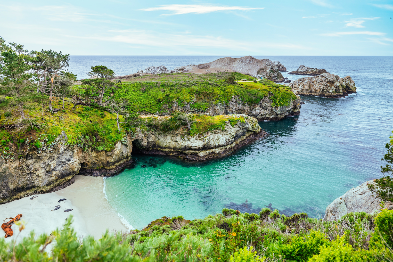 An image depicting the trail South Shore, Bird Island and Pine Ridge Loop Trail and its surrounding area.