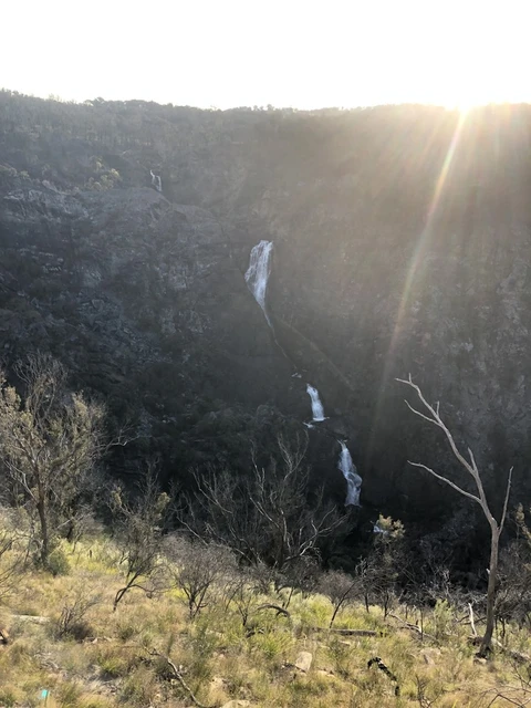 An image depicting the trail Tia Falls Walk and its surrounding area.