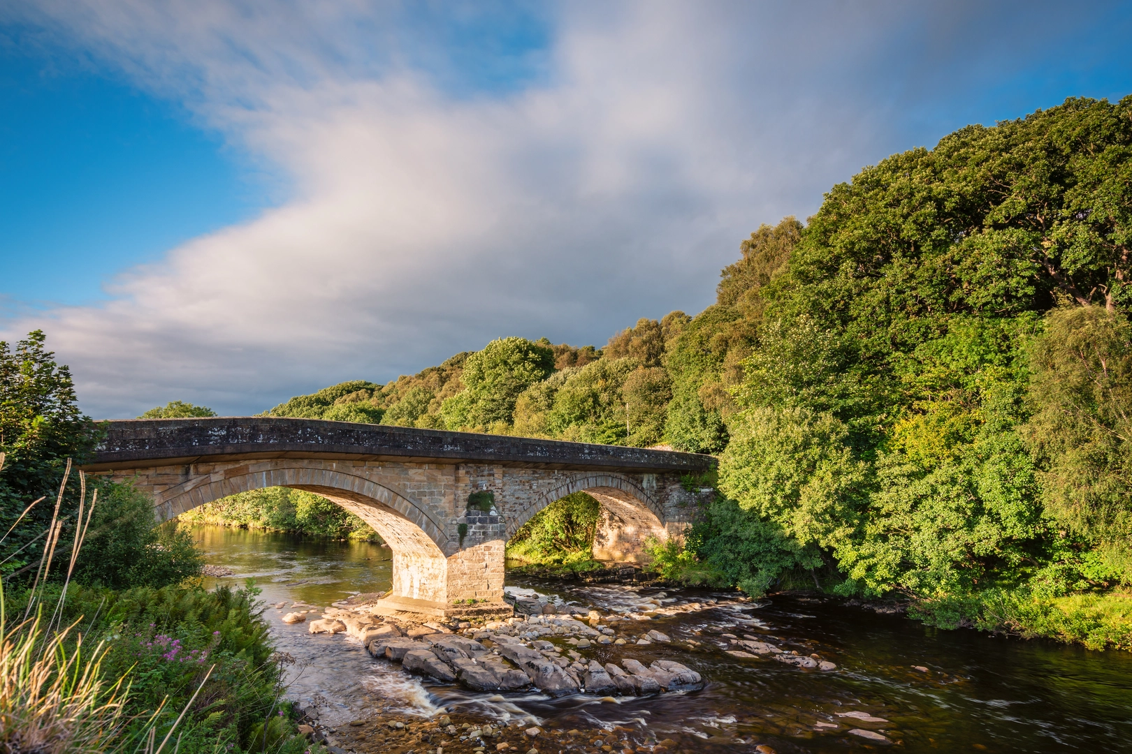 An image depicting the trail River Tyne South via River Tyne Trail and its surrounding area.
