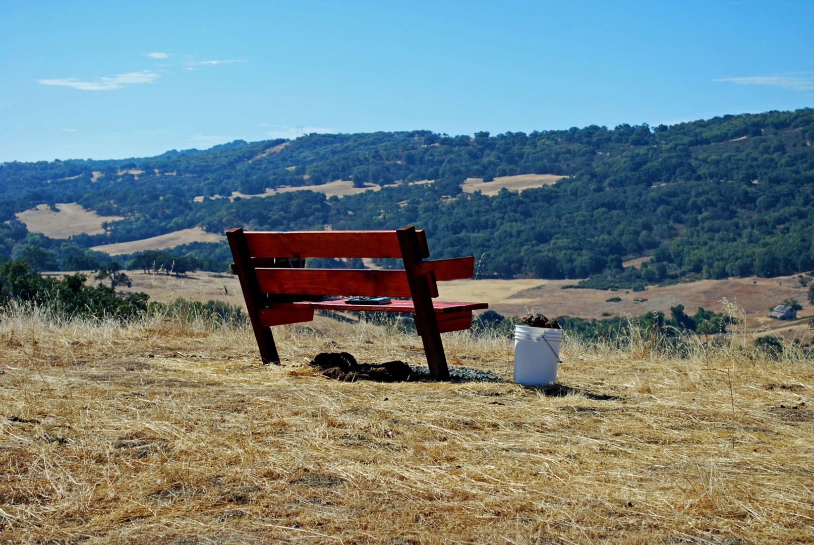 An image depicting the trail Eagle Lake Walk and its surrounding area.