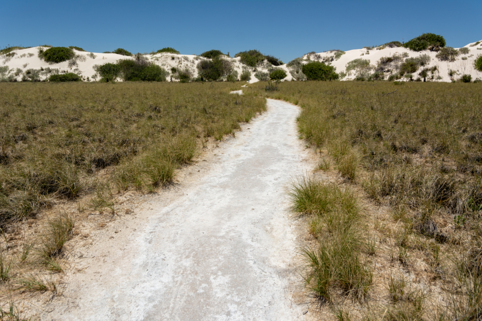 An image depicting the trail Dune Life Nature Trail and its surrounding area.