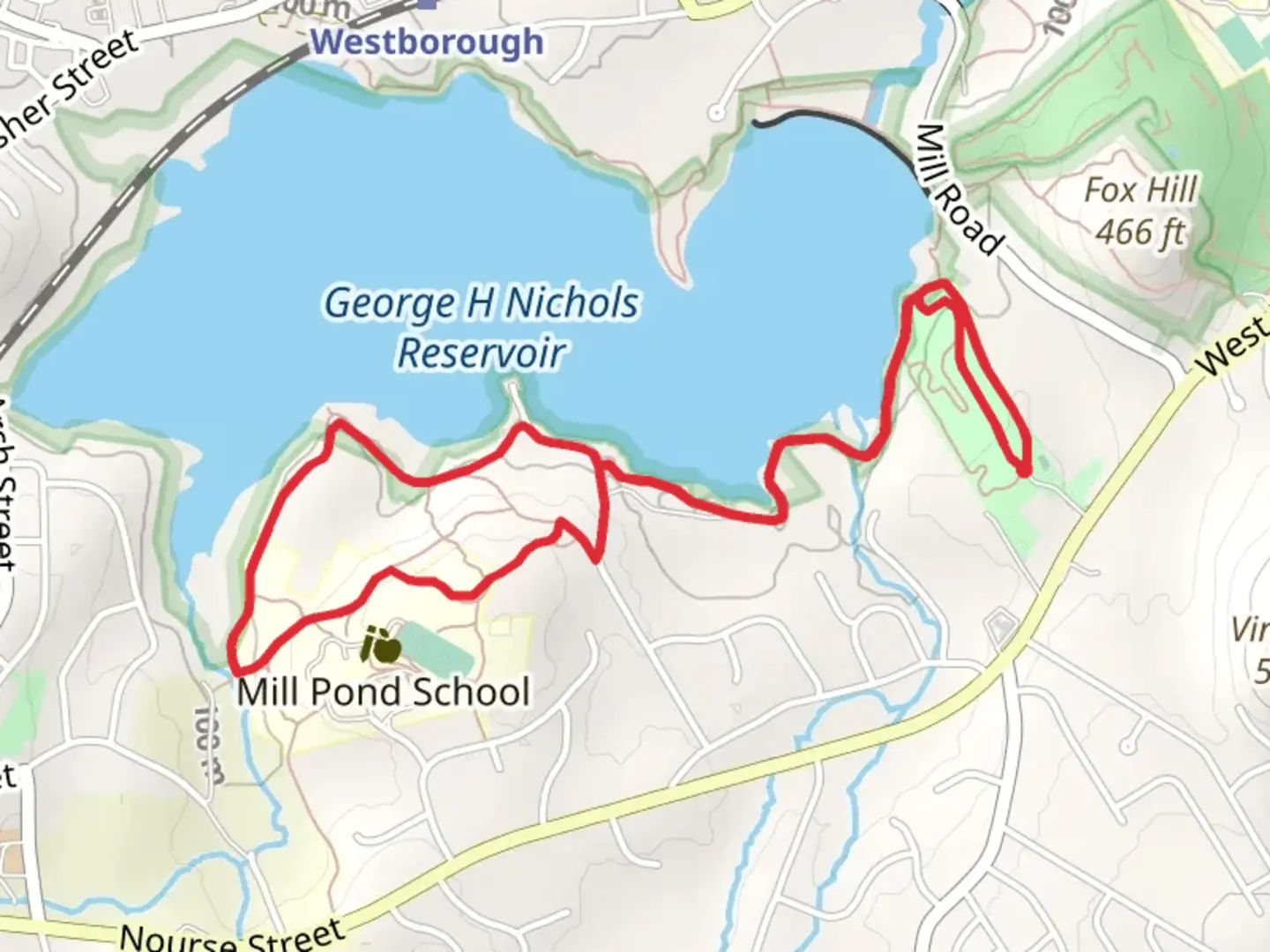 An image depicting the trail Osprey Point Loop Trail via Veterans Freedom Park and its surrounding area.